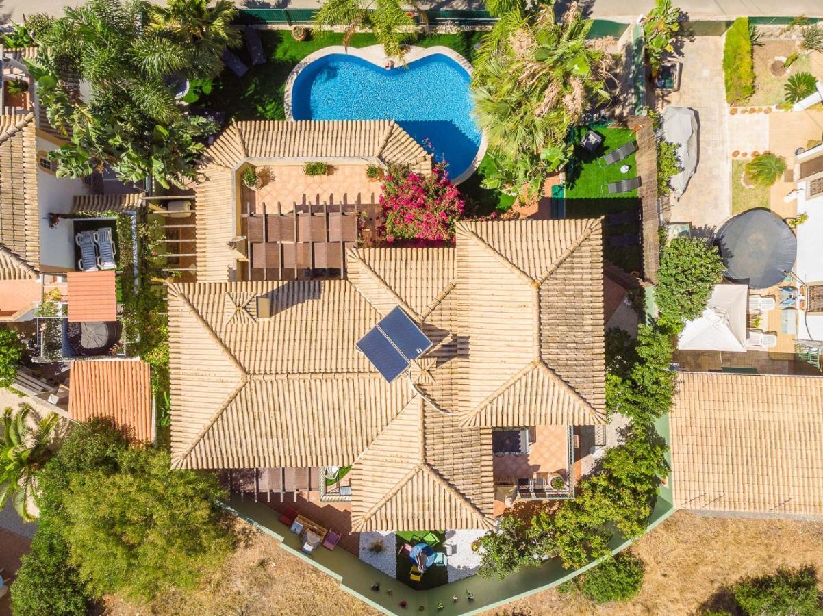 Oasis Tropical, Jardim E Piscina! Daire Portimão Dış mekan fotoğraf