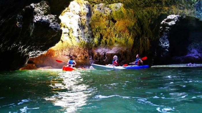 Oasis Tropical, Jardim E Piscina! Daire Portimão Dış mekan fotoğraf